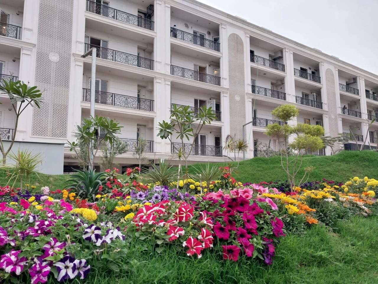 trehan Luxury fllors ector 71 Gurgaon